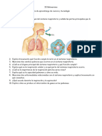 ficha respirta