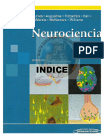 Neurociencia Purves Optimizado PDF