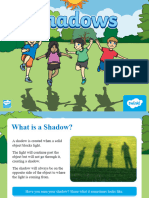 Science Fair Shadows