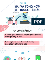 Bài 14 phân giải và tổng hợp H