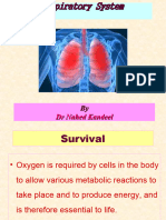 Anatomy of Respiratory System