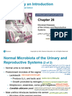 Ch 26 Microbial Diseases of the Urinary and Reproductive Systems