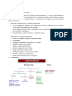 guia de histo matriz extracelular