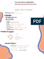 Biochemistry Summary of Porphyrin and Heme Metabolism