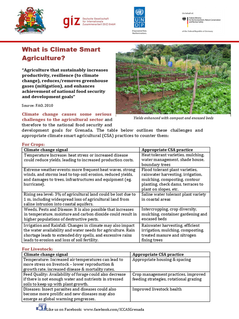 Climate Smart Agriculture Practices | PDF | Agriculture | Climate Change