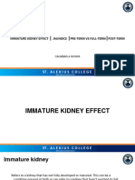 Immature Kidney Effects-Postterm