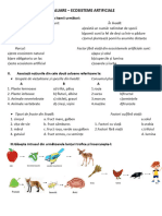 EVALUARE-ecosisteme Artificiale