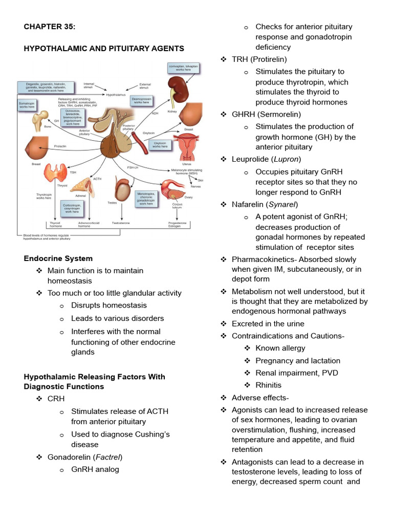 Chapter 35 - Hypothalamic and Pituitary Agents | PDF | Growth Hormone ...