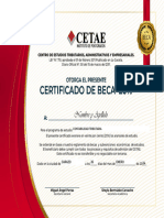 Certficado de Beca CETAE 2 2