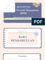 CBD BPH (Dr. Palgunadi, Sp.U)