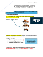 PDF Diana Maffia La Nocion de Genero