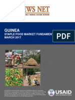 Guinea MFR Submitted 20170306