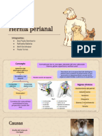 S10 Hernia perianal