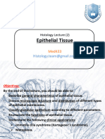 2 - Epithelial Tissue