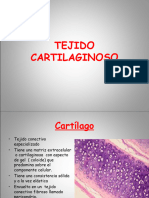 Tejido Cartilaginoso-Oseo