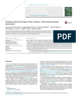 Anatomy and Microscopy of Piper Caldense