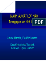 Giãi phẫu cắt lớp não