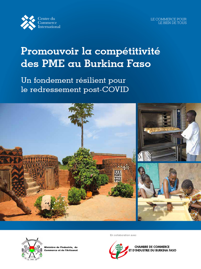 Compétitivité des PME au Burkina Faso | PDF | Petite ou moyenne ...