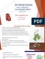 X Life Processes Transportation Module 4 of 4