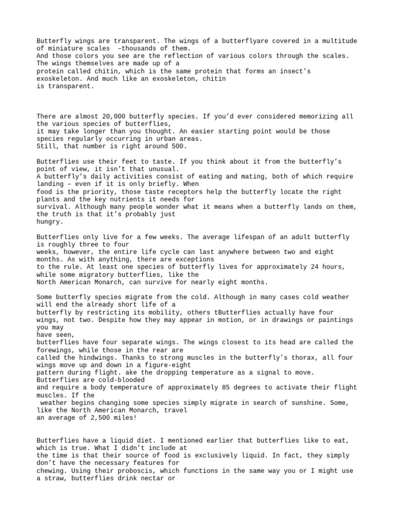 Butterfly visual data 2