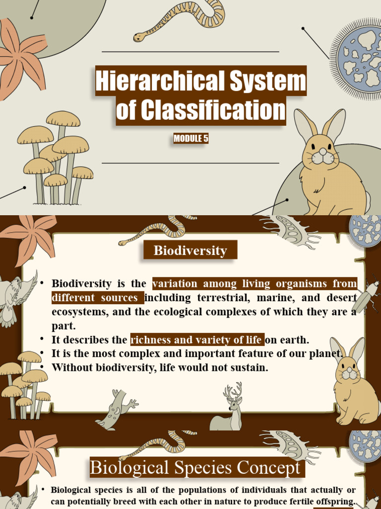 m5 - Classification of Animals | PDF | Biodiversity | Species