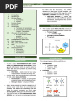 Biochem Lec-Lesson 4-Transes