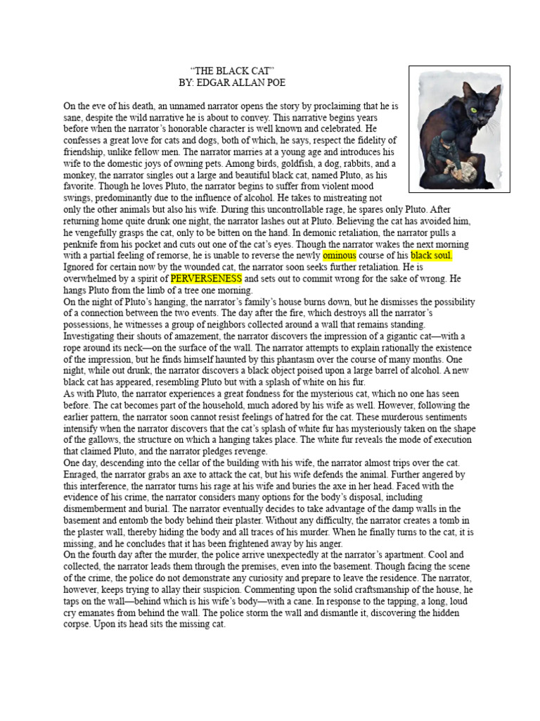 THE BLACK CAT SUMMARY FINAL DEMO PDF