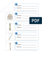 骨骼名称和功能