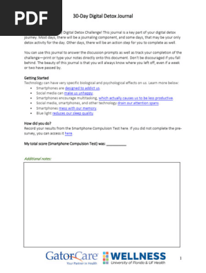 Digital Detox Journal Fillable