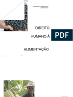 DIREITO HUMANO A ALIMENTAÇÃO ADEQUADA - PDF