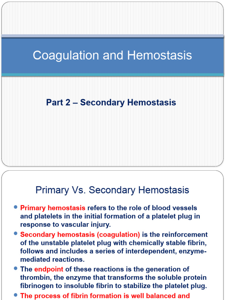 Understanding Hemostasis Mechanisms | PDF | Coagulation | Platelet