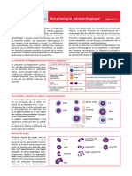 Morphologie hématologique