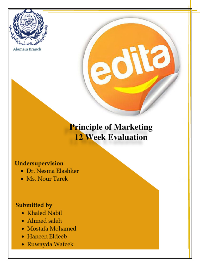 12 Report | PDF | Market Segmentation | Marketing