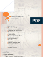 3 Aula Sistema Nervoso Introdução Ao Tecido Nervoso