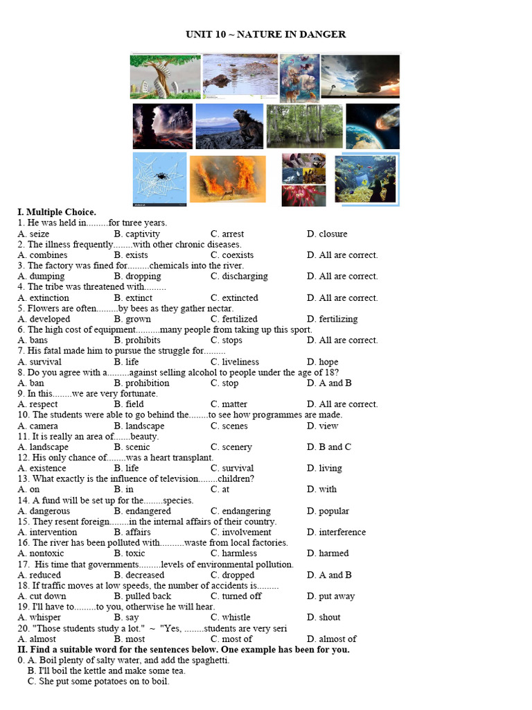 BTAV 11 UNIT 10 NATURE IN DANGER Test Key | PDF | Chimpanzee | Sea