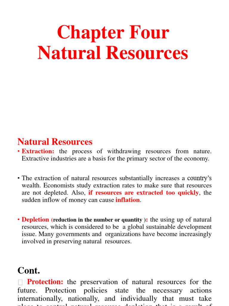 NREE Chapter Four | PDF | Resource | Prices