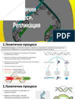 Генетични Процеси в Клетката. Репликация-9кл.