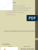 PPT (Nasal, Panoramic, Prc. Styloideus) - 1