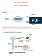 4c3 - Le Systeme Nerveux - 4e2