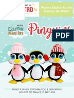 EVERTON Pinguins Natal