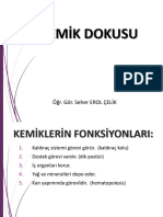 3 - Kemik Dokusu