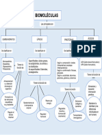 Mapa Conceptual de Las Biomoleculas