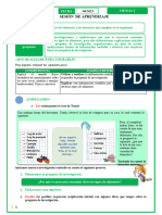 Los Alimentos y Sus Funciones