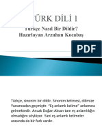 Türk Dili 1