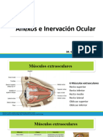 Presentación Unidad 5- Anexos e inervaión ocular.pptx