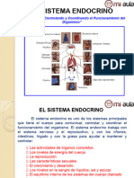 APUNTE_1__SISTEMA_ENDOCRINO_61622_20170202_20150722_124408.PPT