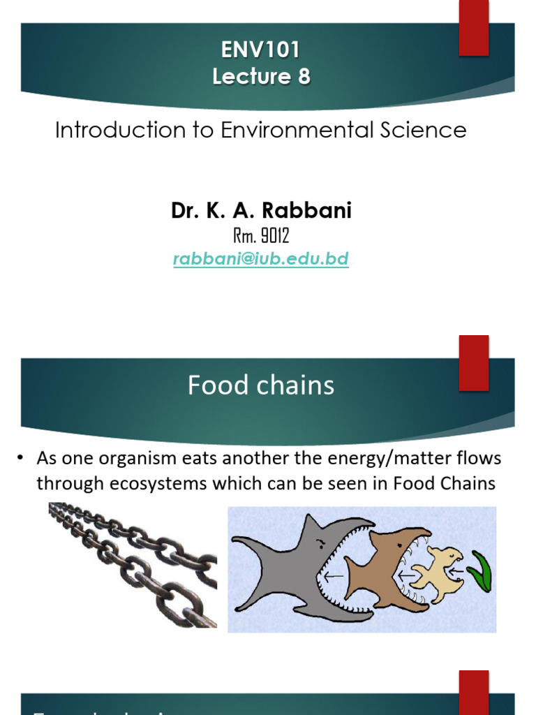 Understanding Food Chains and Ecosystems | PDF | Food Web | Biomass ...