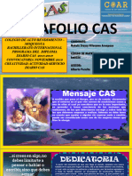 Modelo Diario Cas 2018