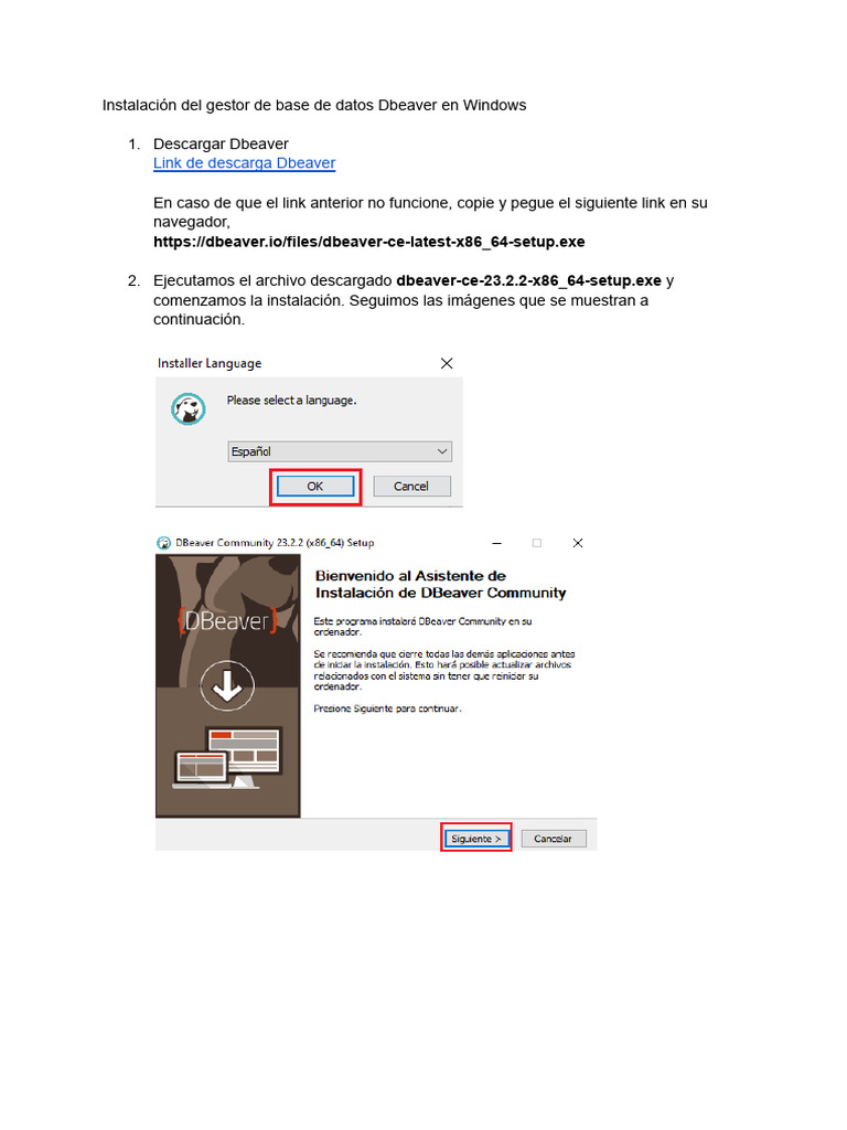 Guía de instalación de DBeaver en Windows | PDF