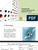 Organización Anatomofuncional Del Sistema Nervioso